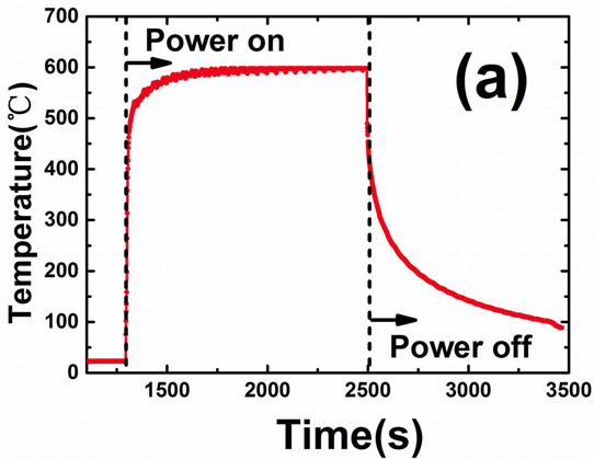 Figure 2a