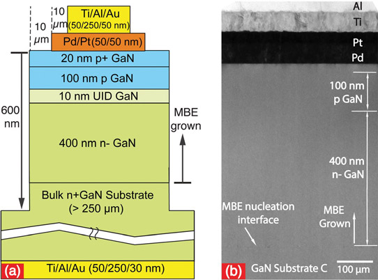 Figure 1: (a) Schematic structure and (b) cross-section TEM of fabricated vertical MBE-grown p-n diodes on low-dislocation-density bulk GaN crystal substrate C (TDD~5x104/cm3).