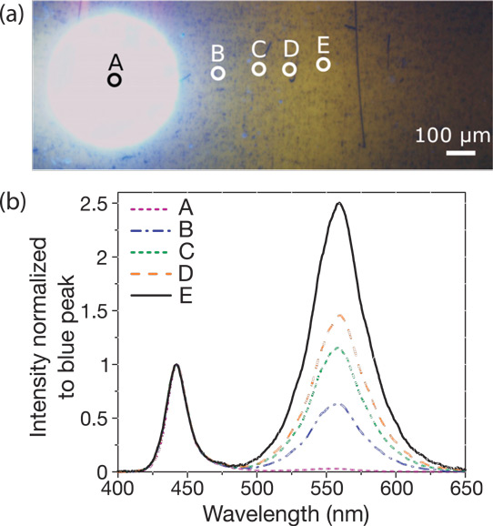 Figure 2: (a) Optical micrograph of electrically injected device based on epitaxial structure in Figure 1 (a), indicating measurement locations. (b) Electroluminescence spectra at different locations normalized to corresponding blue emission peak.