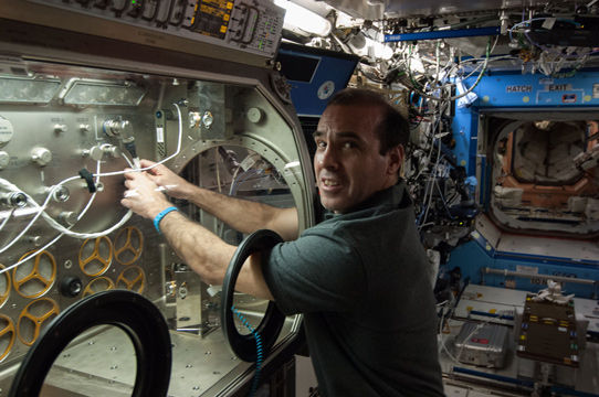 Picture: NASA astronaut using the microbiological test chamber, which includes the Violeds apparatus of SETi. Photo Credit: NASA, Microgravity Science Glove box. 