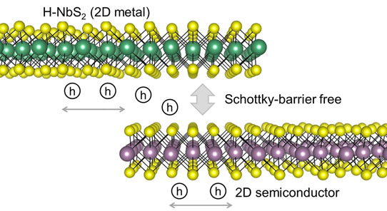 2D H-NbS2 can form a Schottky-barrier-free contact with 2D semiconductor for hole transport. 