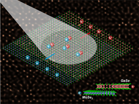 Light drives the migration of charge carriers at the juncture between semiconductors with mismatched crystal lattices. The schematic's background is a scanning transmission electron microscope image showing the bilayer in atomic-scale resolution. Credit: Oak Ridge National Laboratory, US Dept. of Energy. Image by Xufan Li and Chris Rouleau. 
