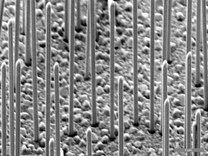 Nanowires on a silicon surface.