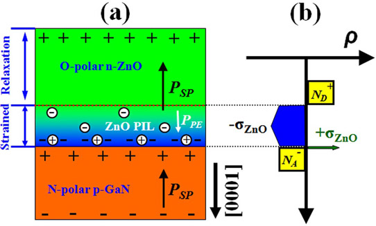 Figure 1: (a) Schematic of O-polar n-ZnO/N-polar p-GaN heterostructure with polarization-induced inversion layer. Fixed charges induced by spontaneous and piezoelectric polarization are also displayed. (b) Spatial distribution of fixed polarization charges and ionized dopants in O-polar n-ZnO/N-polar p-GaN heterostructure.