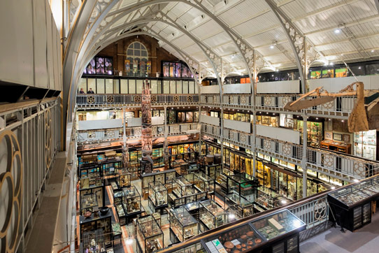 The Pitt Rivers Museum at the University of Oxford (photo credit: Redshift Photography). 