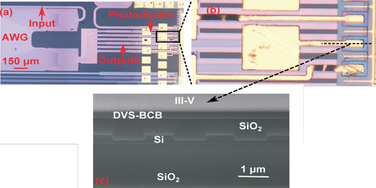 Figure 2: (a) Microscopic image of complete fabricated device, (b) close-up of single heterogeneously integrated photodiode and (c) scanning electron microscope (SEM) cross-section of photodiode.