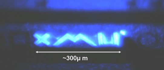 Photo: Micro-display of 'XMU' logo via coplanar LED technique.