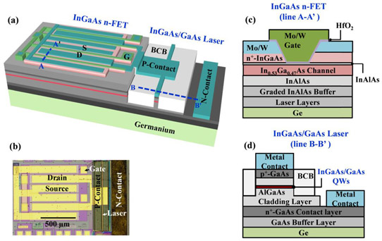 Figure 1: (a) Schematic of monolithic integration of InGaAs n-FETs with lasers. (b) Optical microscope image of optoelectronic integrated circuit with multiple finger InGaAs FETs driving laser.(c) Cross-sectional schematic of fabricated InGaAs FET along line A-A’ in (a). (d) Cross-sectional schematic of fabricated InGaAs/GaAs laser along line B-B’ in (a).