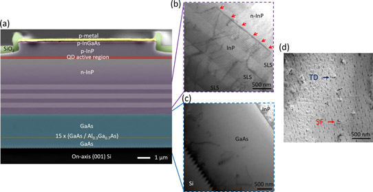 Figure 1: (a) Color-enhanced cross-sectional scanning electron microscope (SEM) image of whole epitaxial structure. Cross-sectional transmission electron microscope (TEM) images of (b) three stacks of 10-period InGaAs/InP strain layer superlattices (SLSs) with dislocation filtering effects identified by red arrows, (c) 2.2μm-thick GaAs intermediate buffer on nano-patterned V-grooved on-axis (001) Si substrate, and (d) plan-view TEM characterization of defect density of InP buffer on Si.