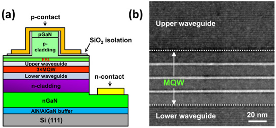 Figure 1: (a) Schematic diagram of InGaN-based laser diodes grown on Si. (b) Cross-sectional high-angle annular dark-field scanning transmission electron micrograph of InGaN MQW active region.
