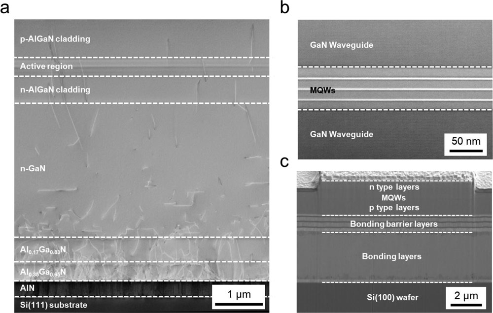 Figure 1: Cross-sectional images of nRW-LD structures. (a) Scanning transmission electron micrography of nRW-LD epitaxial structure on Si(111) substrate. (b) Enlarged image of InGaN/GaN quantum wells. (c) Cross-sectional scanning electron micrograph of device bonded to Si(100) wafer.