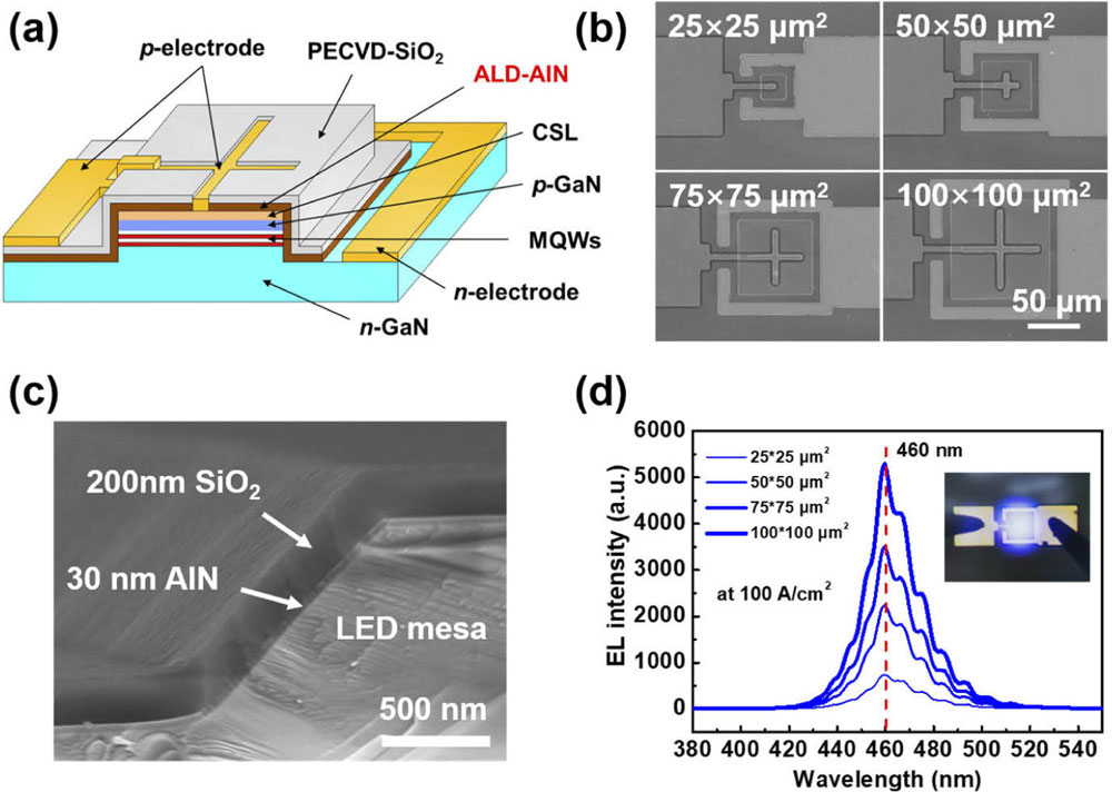 Figure 2: (a) Micro-LED design; (b) scanning electron microscope (SEM) images of fabricated micro-LEDs with different sizes; (c) SEM cross-section of passivated sidewall of micro-LEDs; (d) electroluminescence characteristics of micro-LEDs at 100A/cm2. Inset: microscope image of 50μmx50μm device.