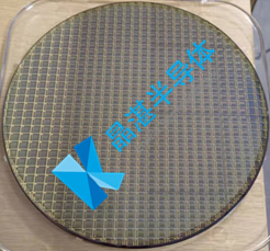 Figure 5: Enkirs’ 200mm micro-LED wafer. 