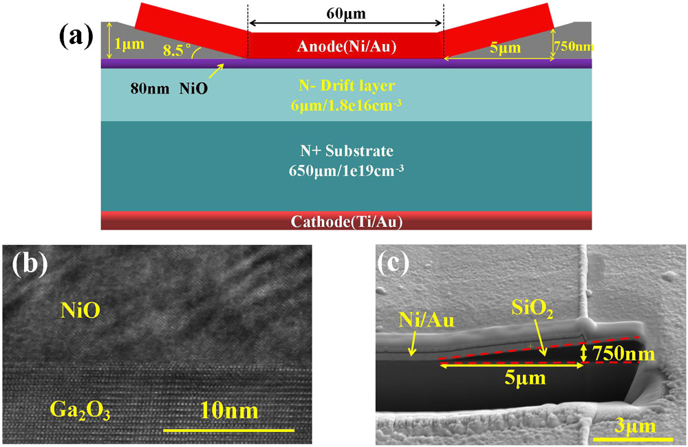 Nioga 2 O 3 Heterojunction Power 5629