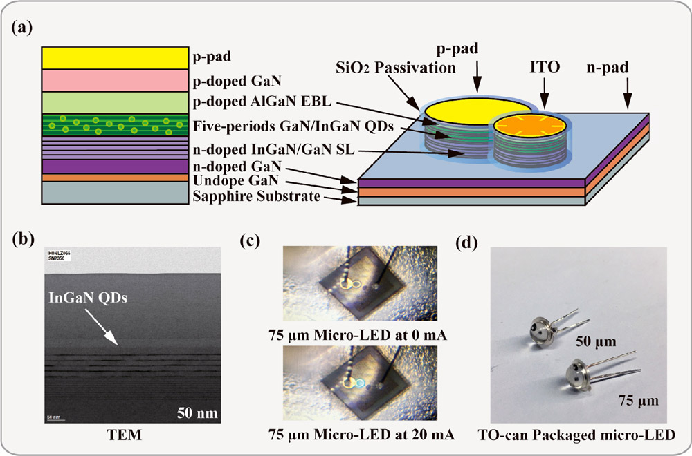 Figure 1: (a) Epitaxial and single-pixel QD micro-LED structure. (b) Transmission electron microscope images of green V-W mode QDs. (c) Packaging of QD micro-LED at 0mA and 20mA injected currents, respectively. (d) Corresponding TO-CAN macro picture with front lens of 50μm- and 75μm-diameter QD micro-LEDs. 