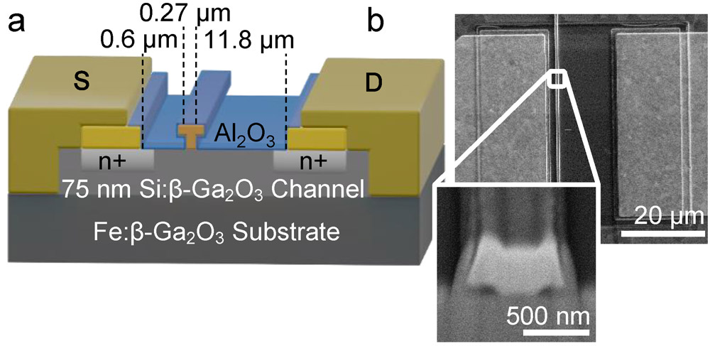 Figure 1: (a) Cross-sectional schematic of MESFET, and (b) scanning electron microscope (SEM) plan view; inset, SEM focused ion-beam cross section of scaled T-gate.