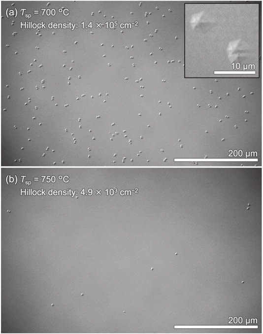Figure 1: Nomarski microscopy images of 300nm-thick Al0.7 Ga0.3N films grown on FFA Sp-AlN fabricated at sputter-deposition temperatures of (a) 700 and (b) 750°C. Inset: magnified image of typical hillock structures.