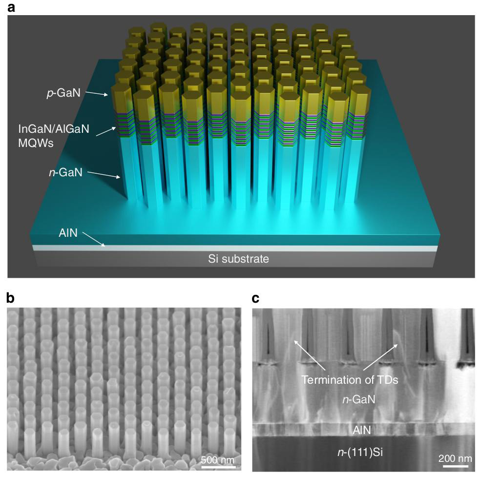 Figure 1: (a) Schematic of InGaN/AlGaN MQWs-in-nanowire heterostructure grown on silicon substrate. (b) Bird’s-eye view scanning electron micrograph (SEM) of as-grown InGaN/AlGaN p-i-n nanowire arrays. (c) Cross-sectional scanning transmission electron micrograph (STEM) of nanowire on silicon substrate, showing termination of TDs on sidewall of n-GaN nanowire before reaching active region.