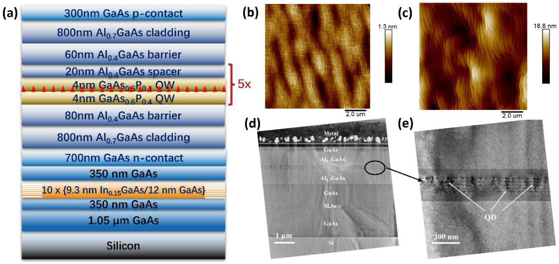 Figure 1: (a) Electrically pumped InP/GaAsP QD laser scheme on GaAs/Si template. Atomic force micrographs (AFMs) InP/GaAsP QDs grown on (b) GaAs and (c) GaAs/Si templates with 0.18nm and 2.76nm surface roughness, respectively. (d) Cross-sectional transmission electron micrographs (TEMs) of electrically pumped InP/GaAsP QD laser grown on GaAs/Si template. (e) Zoom-in cross-sectional TEM.