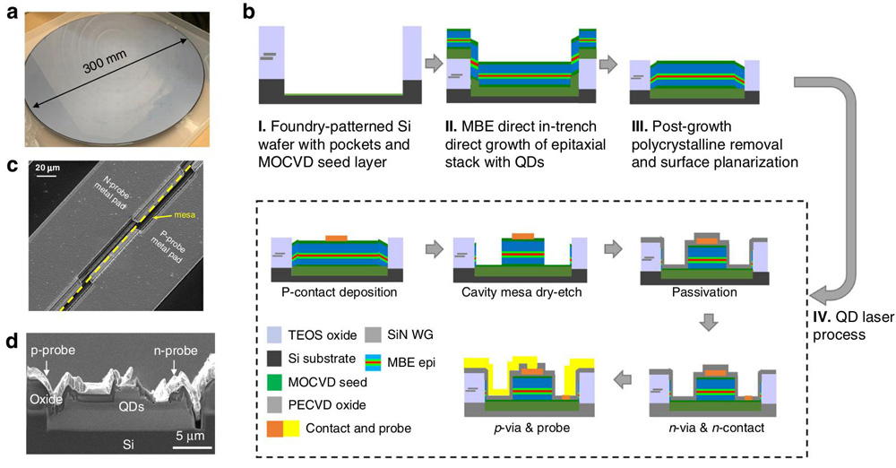 Figure 2: (a) As-grown 300mm wafer from IQE, covered with polycrystalline III–V material. (b) Simplified fabrication flow for laser fabrication, not drawn to scale. (c) Top-down view of as-fabricated device. (d) Cross-section scanning electron micrograph (SEM) of as-cleaved in-pocket laser.