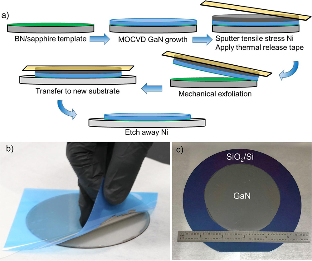 Figure 1: (a) Schematic process flow for transfer process. Images of (b) mechanical exfoliation step and (c) full 4-inch GaN film transferred to SiO2/Si wafer.