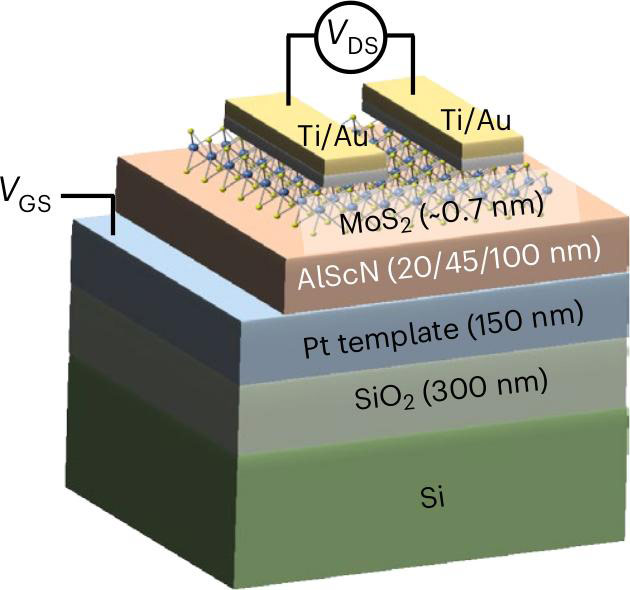 Figure 1: Schematic of MoS2/AlScN FE-FET.