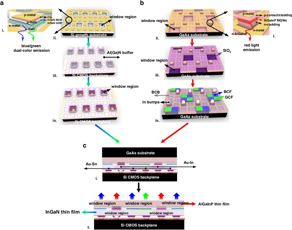 Figure 1: Process flow. (a) Fabrication of InGaN blue/green dual-color micro-LED display: (i) subpixel; (ii) window regions and p, n metallization; (iii) Au–Sn flip-chip bonding to CMOS backplane; (iv) Al(Ga)N buffer etchback. (b) Fabrication of AlGaInP red micro-LED array: (i) subpixel; (ii) window regions and p, n metallization; (iii) SiO2 passivation and contact holes; (iv) BCB polymer etchback, reflow of indium micro-bumps and blue/green color filter patterned. (c) Heterogeneous integration: (i) Au–In flip-chip bonding of InGaN and AlGaInP display arrays; (ii) GaAs substrate removal. 