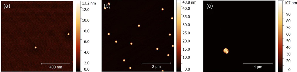Figure 1: Atomic force micrographs of free-standing indium droplets deposited at 400 °C on three different surface types: (a) InGaAs, (b) InP, and (c) InGaAsP. Note different sizes of scan areas adjusted for better visualization. 