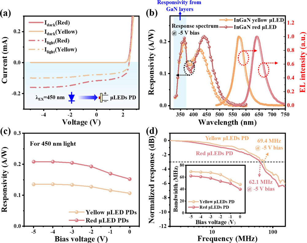 Figure 2: (a) Dark and 450nm laser diode (LD) illuminated current−voltage curves of red and yellow μLED photodiodes. (b) Responsivity and electroluminescence (EL) spectra. (c) Responsivity for 450nm light under different bias voltage. (d) Frequency response and calculated the bias-dependent receiving bandwidth.