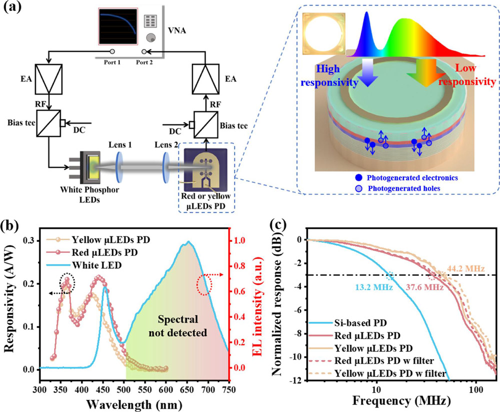 Figure 3: (a) Bandwidth measurement setup for white light VLC system. (b) Response spectra of red/yellow μLED photodiodes overlaid with typical phosphor white LED EL emission. (c) Frequency responses measured by silicon- or long-wavelength μLED-based photodiodes.