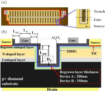 Figure 1: (a) Optical microscope image and close-up of device with gate width of 5mm (S: source, G: gate) (b) Cross-sectional schematic of dash line area.