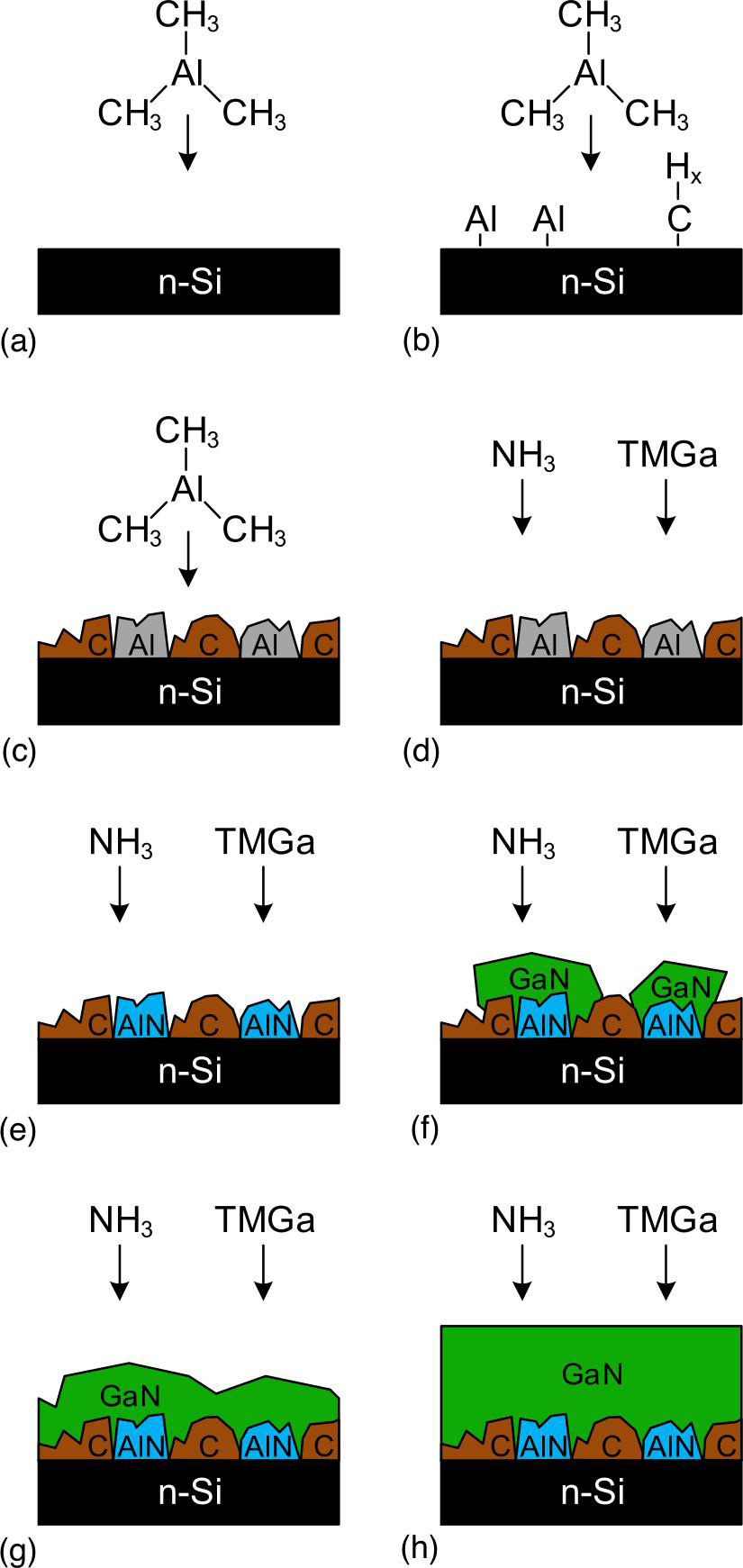 Figure 2: Suggested growth mechanisms: (a–c) Preflow deposition of Al and C. (d–e) Nitridation of Al during early GaN step. (f) 3D GaN growth on AlN regions. (g) Coalescence. (h) 2D layer-by-layer growth. 