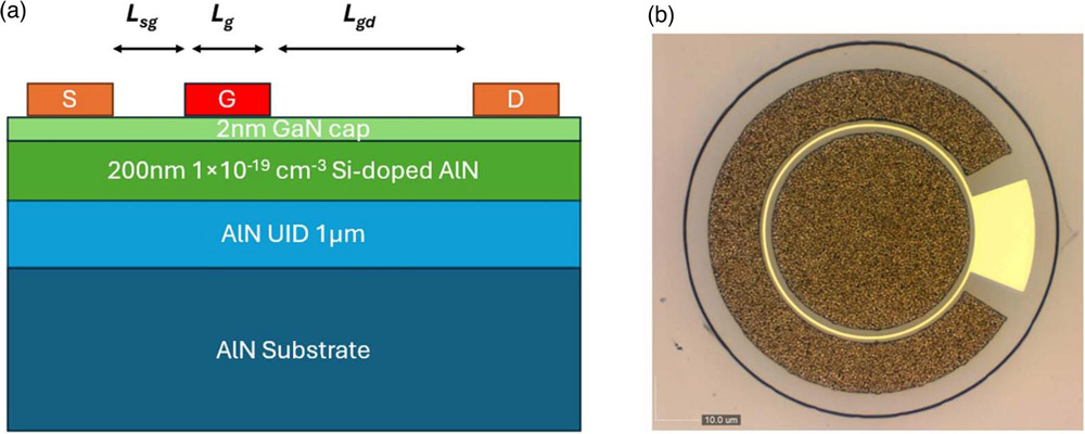 MESFETs on single crystal aluminium nitride substrate