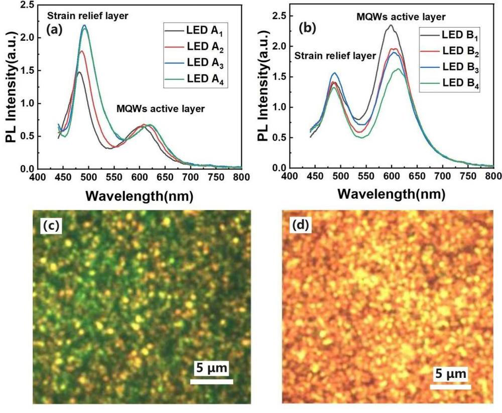 Figure 2: Room-temperature photoluminescence spectra of LED samples: (a) A1–4 and (b) B1–4. Fluorescence images of (c) A2 and (d) B4 taken under identical 405nm laser excitation.