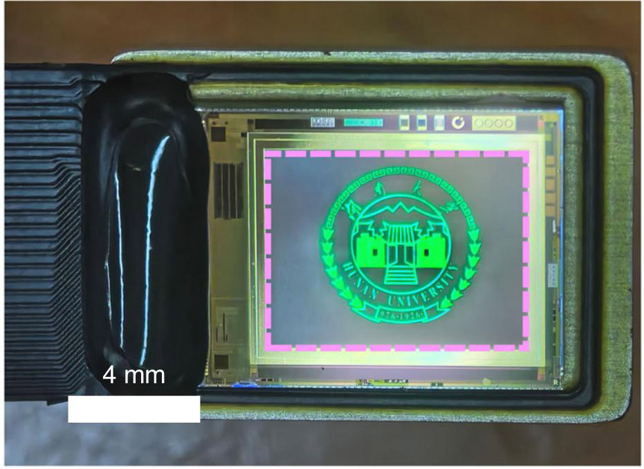 Figure 4: Packaged micro-display. 