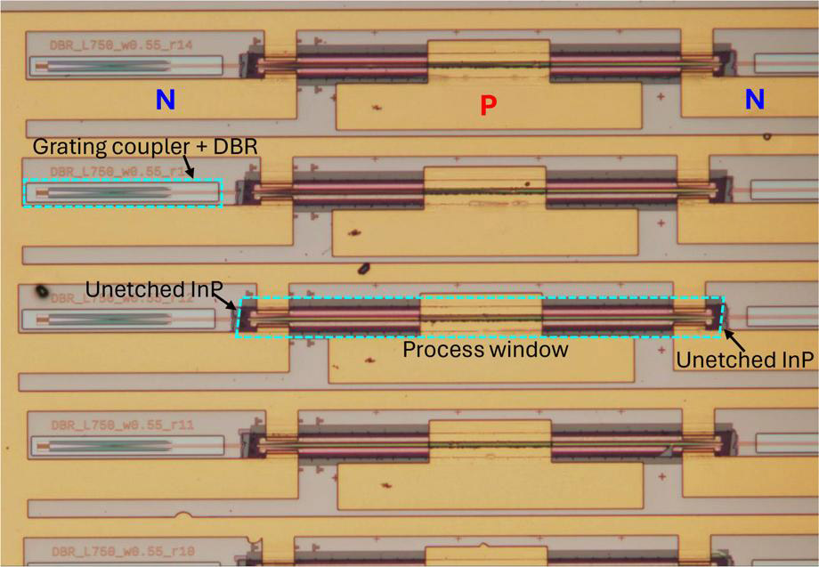 Figure 2: Optical microscopic image of few fabricated devices. All dielectric layers were cleared from grating coupler + DBR window. 