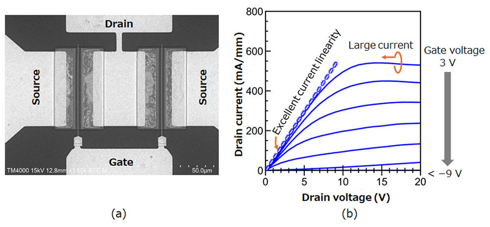 Figure 2. (a) Top-view scanning electron microscope image of the AlN-based transistor (Al composition: 85%), and (b) drain current–voltage characteristics as the gate voltage varied from +3V to −9V.