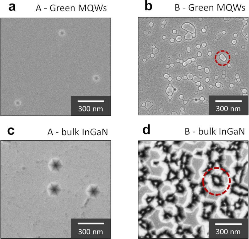 Figure 2: Scanning electron microscope (SEM) images of samples A and sample B after growth interruptions of green MQWs (a and b, respectively), and of bulk InGaN (c and d). Red dashed circles in (b) and (d) show corresponding locations of trench structures on green MQW and bulk InGaN surfaces.