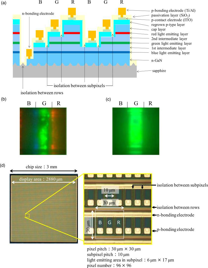 Figure 1: (a) Cross-sectional structure of full-color monolithic micro-LED. (b) Electroluminescence (EL) image of sub-pixels without inter-sub-pixel isolation. (c) EL image of sub-pixels with inter-sub-pixel isolation. (d) Photograph of fabricated monolithic micro-LED chip.