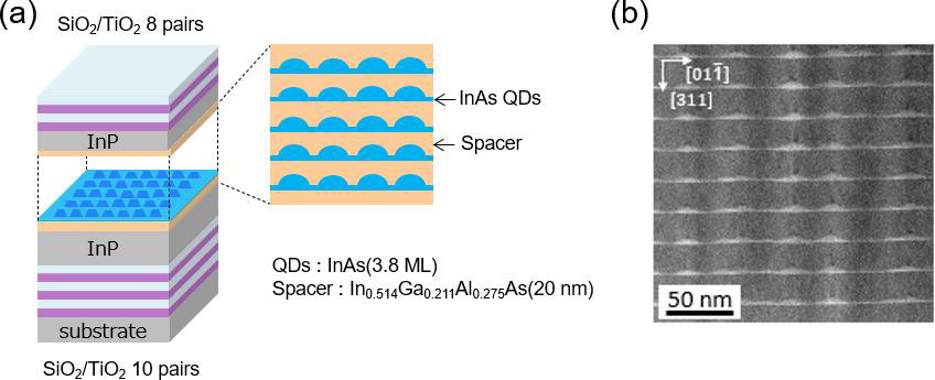 Figure 1: (a) Schematic of optically pumped QD VCSEL. (b) Cross-sectional HAADF-STEM image.