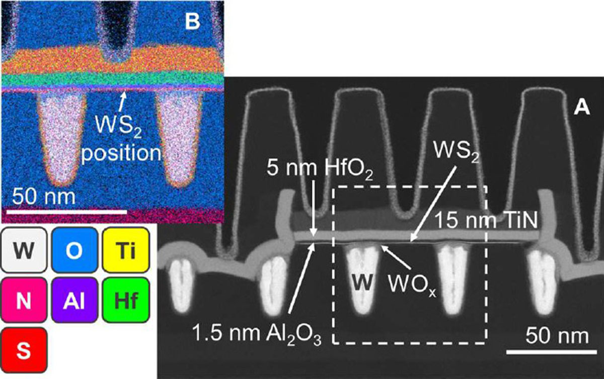 Figure 1 - (A) X-cut HAADF STEM for a WS2 device with a CPP of 50nm, a contact length of 19nm and width of 256nm, after gate connection line etch. (B) Corresponding energy-dispersive x-ray spectroscopy (EDS) analysis. 