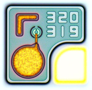 Optical microscope image of PicoJool 200G VCSEL chip fabricated on 6" GaAs wafer process by WIN Semiconductor foundry. 