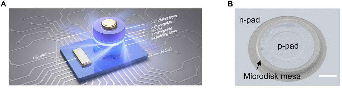 Figure 1: (A) Schematic of microdisk laser. (B) Scanning electron microscope (SEM) image of 40μm-diameter device — scale bar, 10μm.