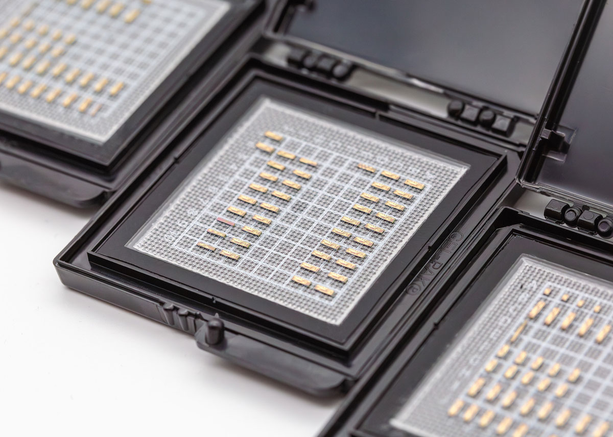 Pilot Photonics laser dies. 