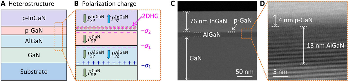 Figure 1: (A) Schematic structure and (B) polarization charge distribution of specially designed p-InGaN/p-GaN/AlGaN/GaN heterostructure. (C and D) Cross-sectional transmission electron microscope (TEM) images of heterostructure.