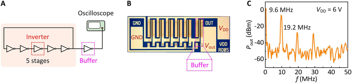 Figure 4: (A) Circuit schematic diagram and (B) microscopic image of 5-stage ring oscillator (RO). (C) Power spectrum of 5-stage RO.